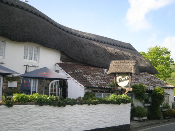 The Thatch